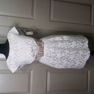 NWT 57 Grand cocktail length lace over Matt palomino cap sleeve dress size 14